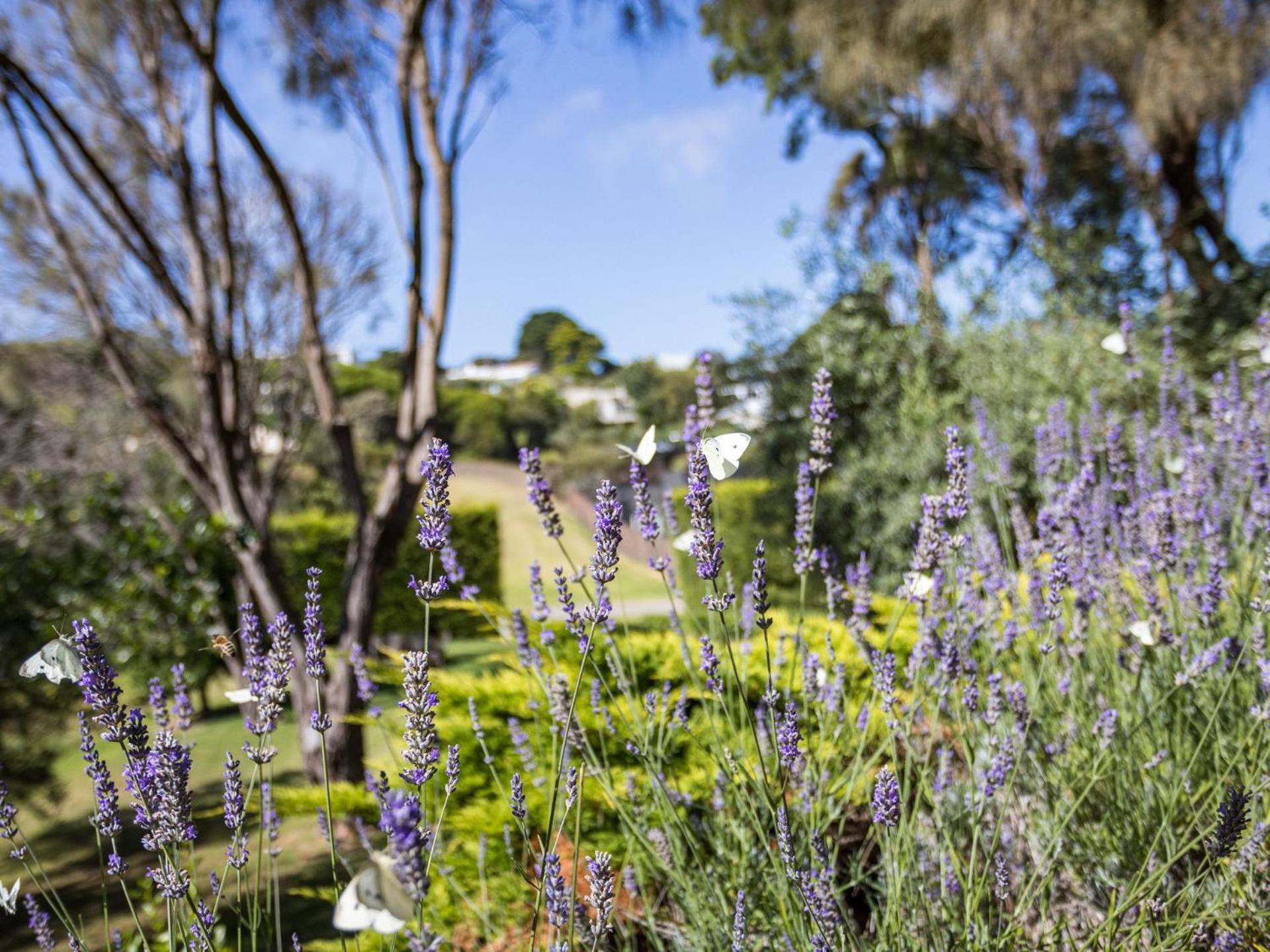 Vila Quarterdeck Portsea Exteriér fotografie